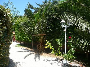 Appartement de vacances �/en/au Presqu