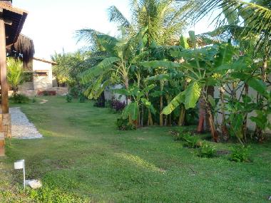 Maison de vacances �/en/au Canoa Quebrada (Ceara)ou appartement ou maison de vacances