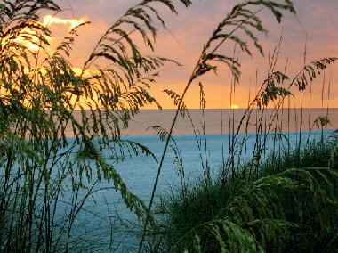 Maison de vacances �/en/au Captiva Island (Florida)ou appartement ou maison de vacances