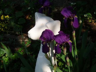 Appartement de vacances /en/au Dorf Tirol  (Bolzano-Bozen)ou appartement ou maison de vacances