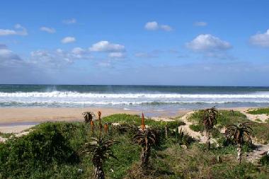 H�tel �/en/au Jeffreys Bay (Eastern Cape)ou appartement ou maison de vacances