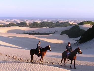 H�tel �/en/au Jeffreys Bay (Eastern Cape)ou appartement ou maison de vacances