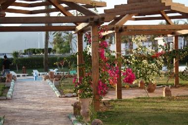 Appartement de vacances �/en/au Naama Bay (Shamal Sina