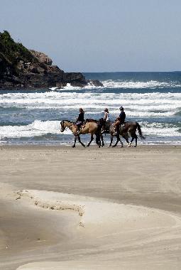 Maison de vacances �/en/au Florian�polis (Santa Catarina)ou appartement ou maison de vacances