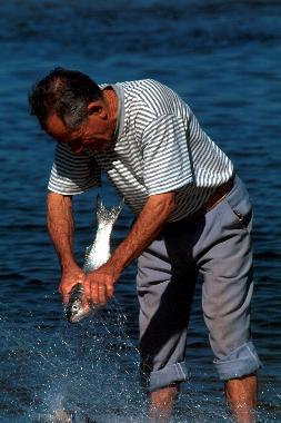 Maison de vacances �/en/au Florian�polis (Santa Catarina)ou appartement ou maison de vacances