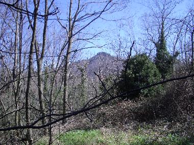 Appartement de vacances /en/au Viterbo (Viterbo)ou appartement ou maison de vacances