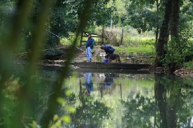 Chambre avec petit djeuner /en/au Velluire (Vende)ou appartement ou maison de vacances