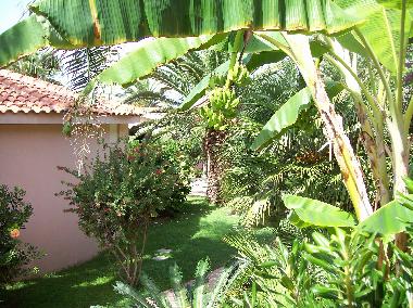 Appartement de vacances �/en/au  Ricadi  (Vibo Valentia)ou appartement ou maison de vacances