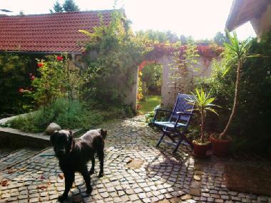 Appartement de vacances �/en/au celle (L�neburger Heide)ou appartement ou maison de vacances