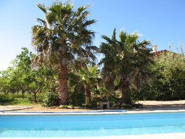 Maison de vacances �/en/au Llucmajor (Mallorca)ou appartement ou maison de vacances