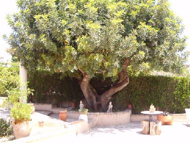 Maison de vacances �/en/au CHIVA (Valencia / Val�ncia)ou appartement ou maison de vacances