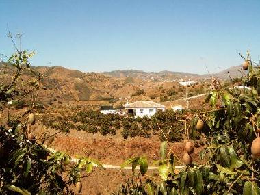 Maison de vacances /en/au Almchar / Velez-Malaga (Mlaga)ou appartement ou maison de vacances