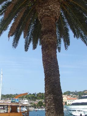 Appartement de vacances /en/au HVAR (Splitsko-Dalmatinska)ou appartement ou maison de vacances