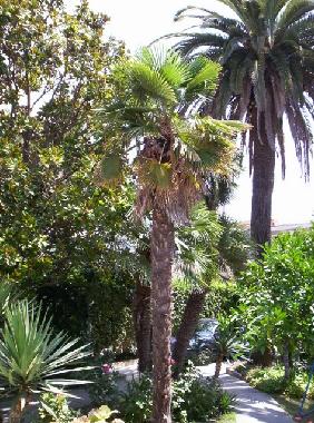 Appartement de vacances �/en/au Igalo (Mont�n�gro)ou appartement ou maison de vacances