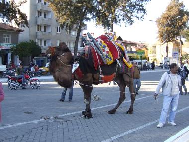 Chambre avec petit d�jeuner �/en/au Tuzla (Mugla)ou appartement ou maison de vacances