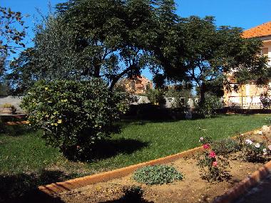 Appartement de vacances �/en/au Privlaka-Zadar (Zadarska)ou appartement ou maison de vacances