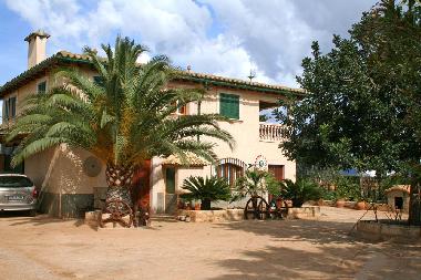 Maison de vacances �/en/au Sa Pobla (Mallorca)ou appartement ou maison de vacances