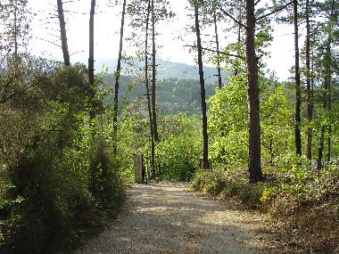 Villa �/en/au Moli�res sur C�ze (Gard)ou appartement ou maison de vacances