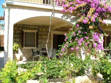 Appartement de vacances �/en/au Vini�će (Splitsko-Dalmatinska)ou appartement ou maison de vacances