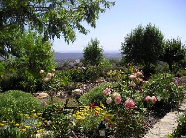 Appartement de vacances �/en/au Loule (Algarve)ou appartement ou maison de vacances