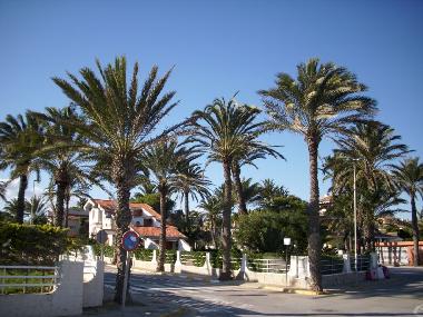 Maison de vacances /en/au Orihuela Costa (Alicante / Alacant)ou appartement ou maison de vacances