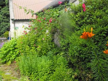 Maison de vacances �/en/au Lusmagh, Banagher (Offaly)ou appartement ou maison de vacances