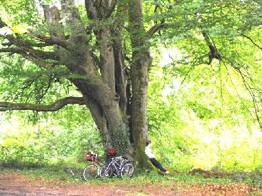 Maison de vacances �/en/au Lusmagh, Banagher (Offaly)ou appartement ou maison de vacances