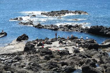 Maison de vacances �/en/au Capelo (Azores)ou appartement ou maison de vacances