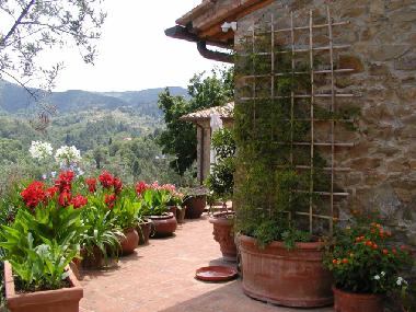 Appartement de vacances /en/au Montevarchi (Arezzo)ou appartement ou maison de vacances