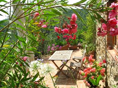 Appartement de vacances /en/au Montevarchi (Arezzo)ou appartement ou maison de vacances