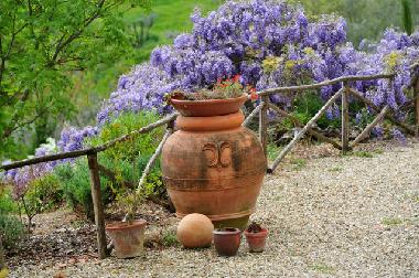 Appartement de vacances /en/au Montevarchi (Arezzo)ou appartement ou maison de vacances