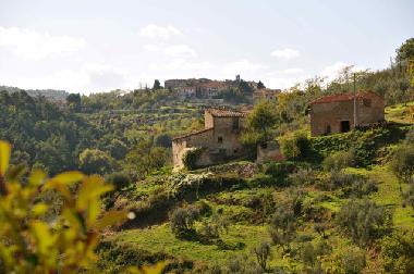 Appartement de vacances �/en/au Montevarchi (Arezzo)ou appartement ou maison de vacances