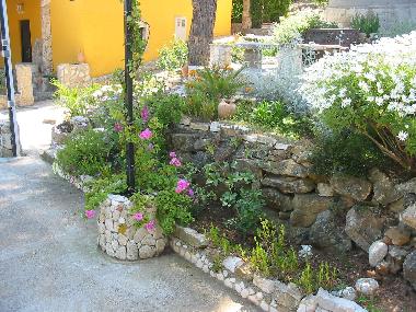 Appartement de vacances �/en/au Vis (Splitsko-Dalmatinska)ou appartement ou maison de vacances