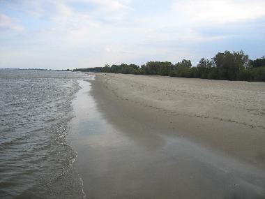 Maison de vacances /en/au 21706 (Land zwischen Elbe u. Weser)ou appartement ou maison de vacances