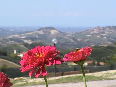 Appartement de vacances �/en/au belvedere langhe (Cuneo)ou appartement ou maison de vacances
