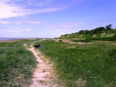 Maison de vacances �/en/au H�jer (Sonderjylland)ou appartement ou maison de vacances