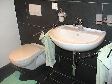 Appartement de vacances �/en/au Tschlin (Scuol)ou appartement ou maison de vacances