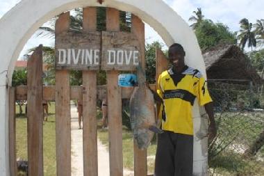 Maison de vacances �/en/au Diani (Coast)ou appartement ou maison de vacances