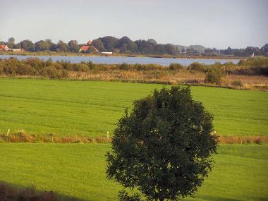Appartement de vacances /en/au Bedekaspelermarsch (Nordsee-Festland / Ostfriesland)ou appartement ou maison de vacances