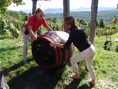 Maison de vacances �/en/au Kapolcs  (Veszprem)ou appartement ou maison de vacances