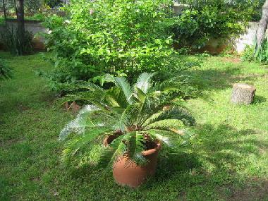 Appartement de vacances /en/au Pula (Istarska)ou appartement ou maison de vacances