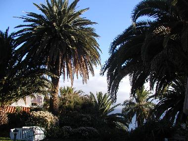Maison de vacances �/en/au Canico de Baixo (Madeira)ou appartement ou maison de vacances