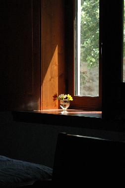 Maison de vacances �/en/au Figueir� dos Vinhos (Pinhal Interior Norte)ou appartement ou maison de vacances