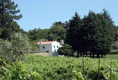 Maison de vacances �/en/au Figueir� dos Vinhos (Pinhal Interior Norte)ou appartement ou maison de vacances