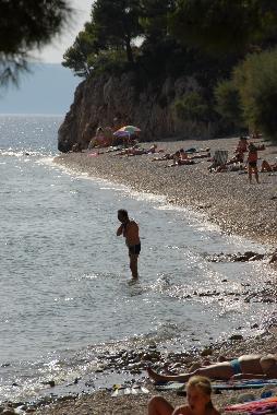 Maison de vacances /en/au Igrane  (Splitsko-Dalmatinska)ou appartement ou maison de vacances