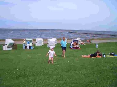 Maison de vacances /en/au Friedrichskoog (Nordsee-Festland)ou appartement ou maison de vacances