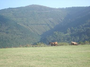 Appartement de vacances /en/au Valdes (Asturias)ou appartement ou maison de vacances