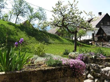 Chambre avec petit d�jeuner �/en/au Bohinjsko Jezero (Bohinj)ou appartement ou maison de vacances