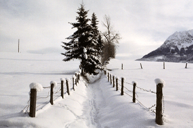 Appartement de vacances /en/au Abtenau (Salzburg und Umgebung)ou appartement ou maison de vacances