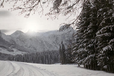 Appartement de vacances /en/au Abtenau (Salzburg und Umgebung)ou appartement ou maison de vacances